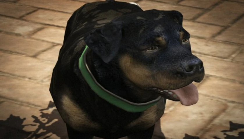 chop gta v dog